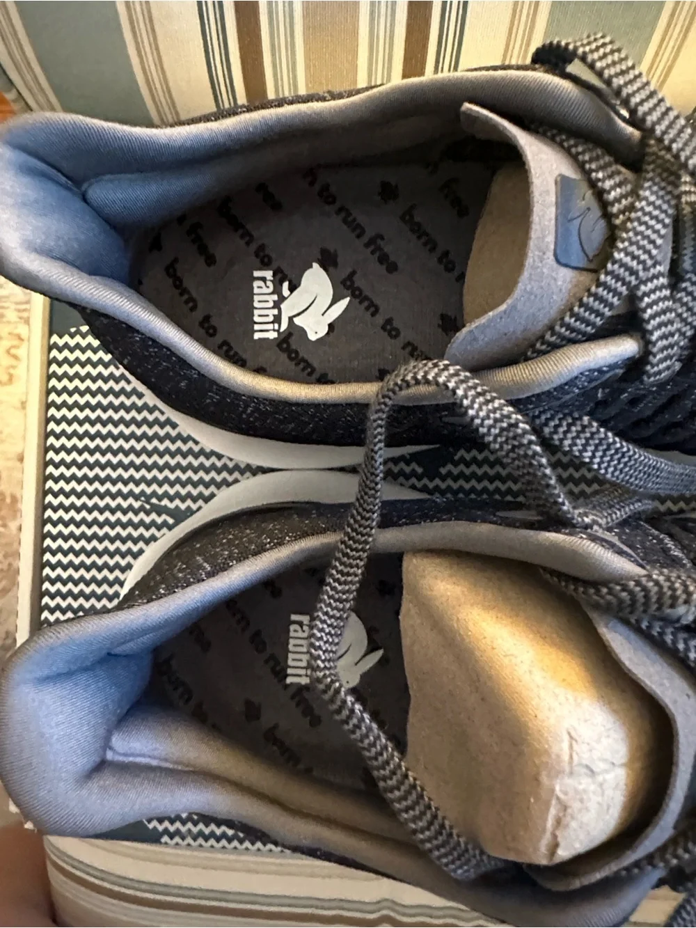 RuninRabbit Black Knit Dreamchaser Sneakers